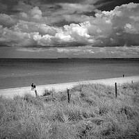 Buy canvas prints of Utah Beach Normandy France by Andy Evans Photos
