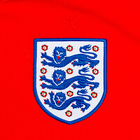 England Three Lions Badge Macro Photography