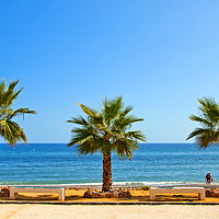 Buy canvas prints of Palm trees Playa del Penoncillo Torrox Costa Spain by Andy Evans Photos