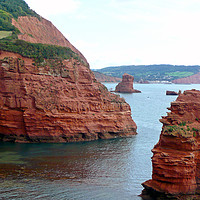 Buy canvas prints of Ladram Bay Jurassic Coast Devon by Andy Evans Photos