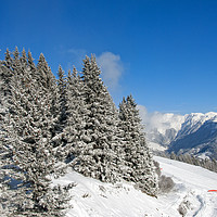 Buy canvas prints of Winter Wonderland in the French Alps by Andy Evans Photos