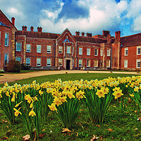 Buy canvas prints of The Vyne Sherborne St John Hampshire England by Andy Evans Photos