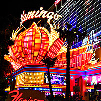 Buy canvas prints of Flamingo Las Vegas Hotel Neon Signs America by Andy Evans Photos