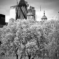 Buy canvas prints of City of London Cityscape Skyline England UK by Andy Evans Photos