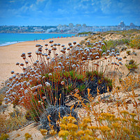 Buy canvas prints of Praia dos Salgados The Algarve Portugal by Andy Evans Photos