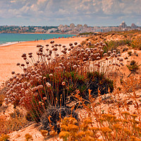 Buy canvas prints of Praia dos Salgados The Algarve Portugal by Andy Evans Photos