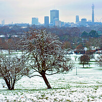 Buy canvas prints of London Skyline Cityscape Primrose Hill by Andy Evans Photos