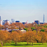 Buy canvas prints of London Skyline Cityscape Primrose Hill by Andy Evans Photos