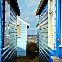 Buy canvas prints of Beach Huts Hengistbury Head Dorset England UK by Andy Evans Photos
