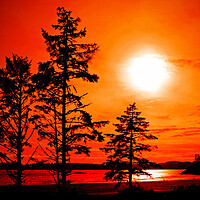 Buy canvas prints of Sunset Long Beach Tofino Vancouver Island Canada by Andy Evans Photos