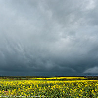 Buy canvas prints of Clearing Storm by Sam Jowett