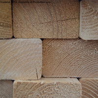 Buy canvas prints of Timber pile by Robert Chadwick