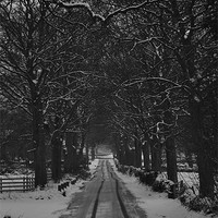 Buy canvas prints of tracks in the snow by Robert Chadwick