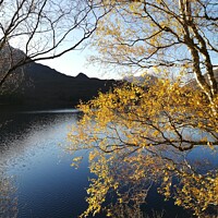 Buy canvas prints of Autumn Colours at Loch Clair by Jennifer Henderson