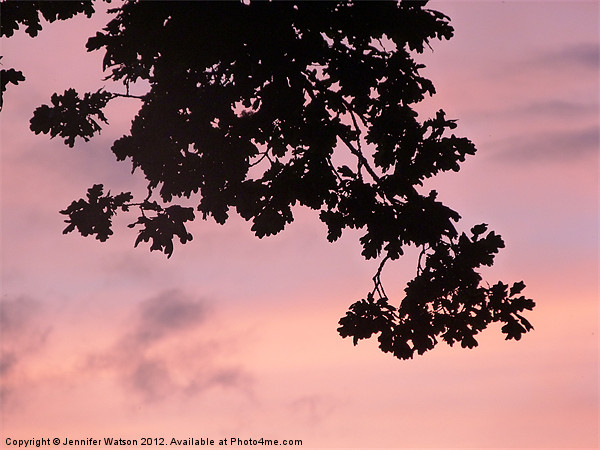Oak Sunset Picture Board by Jennifer Henderson