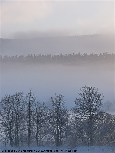 Winter Mist 1 Picture Board by Jennifer Henderson