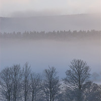 Buy canvas prints of Winter Mist 1 by Jennifer Henderson