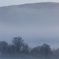 Buy canvas prints of Winter Mist 2 by Jennifer Henderson
