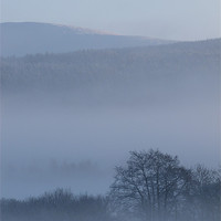 Buy canvas prints of Winter Mist 3 by Jennifer Henderson