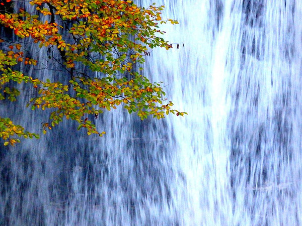 Autumn Waterfall Picture Board by Jennifer Henderson