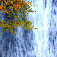 Buy canvas prints of Autumn Waterfall by Jennifer Henderson