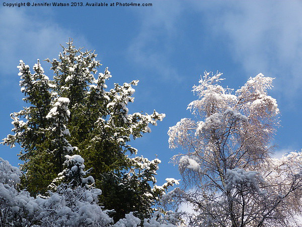 Snowy Treetops Picture Board by Jennifer Henderson