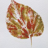 Buy canvas prints of Lime Leaf Print by Jennifer Henderson