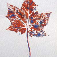 Buy canvas prints of Maple leaf in red and blue by Jennifer Henderson