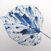 Buy canvas prints of Blue Leaf by Jennifer Henderson