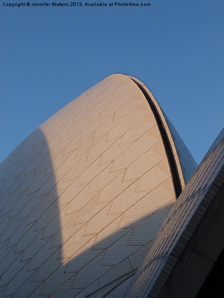 Sydney Opera House Picture Board by Jennifer Henderson
