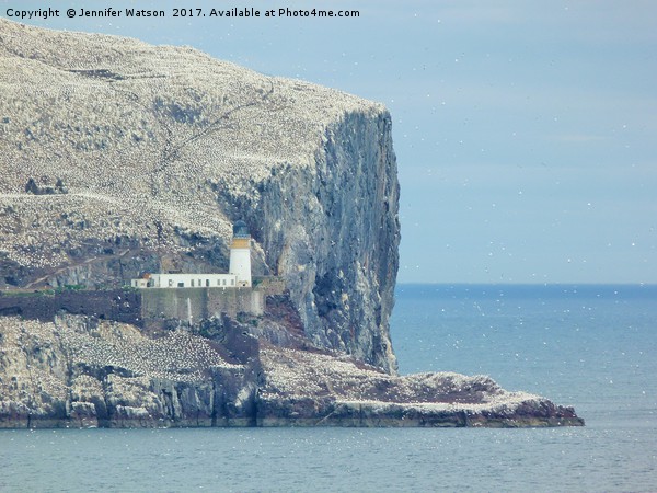 Lighthouse on the Bass Rock Picture Board by Jennifer Henderson