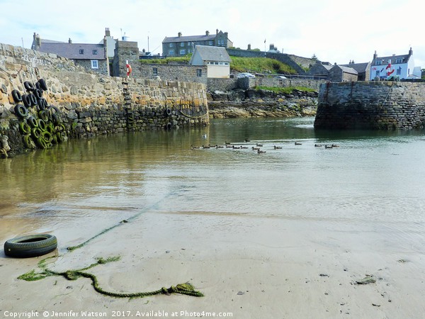 Low tide at Portsoy harbour Picture Board by Jennifer Henderson