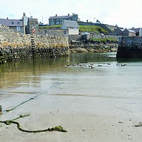Buy canvas prints of Low tide at Portsoy harbour by Jennifer Henderson