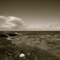 Buy canvas prints of Black and white beach by Holly Stanley