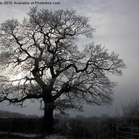 Buy canvas prints of Winter frost by Ian Purdy