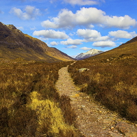 Buy canvas prints of  Path to the mountains by Ian Purdy