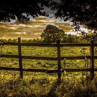 Buy canvas prints of  Over the fence by Ian Purdy