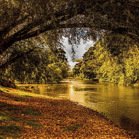 Buy canvas prints of River Derwent by Ian Purdy