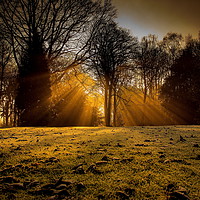 Buy canvas prints of Winter rays by Ian Purdy
