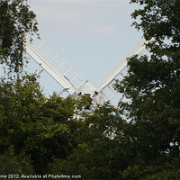 Buy canvas prints of Windmill Behind The Trees by Will Holme