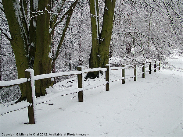 Snowy Fence Picture Board by Michelle Orai