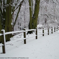 Buy canvas prints of Snowy Fence by Michelle Orai