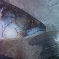 Buy canvas prints of Something Fishy! by Michelle Orai