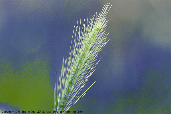 Wheat Grass Picture Board by Michelle Orai