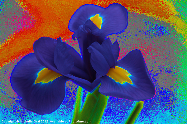 Psychedelic Iris Picture Board by Michelle Orai