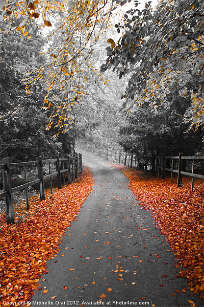 Autumn Path Picture Board by Michelle Orai