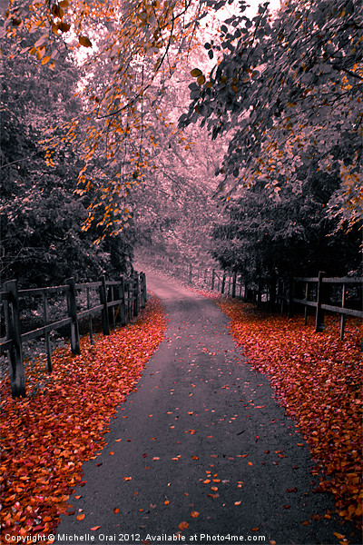Into the Autumn Mist Picture Board by Michelle Orai