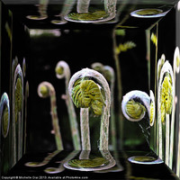 Buy canvas prints of Unfurling Ferns Reflections by Michelle Orai