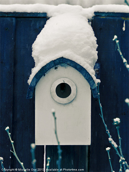 Little Blue Bird House Picture Board by Michelle Orai