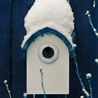 Buy canvas prints of Little Blue Bird House by Michelle Orai